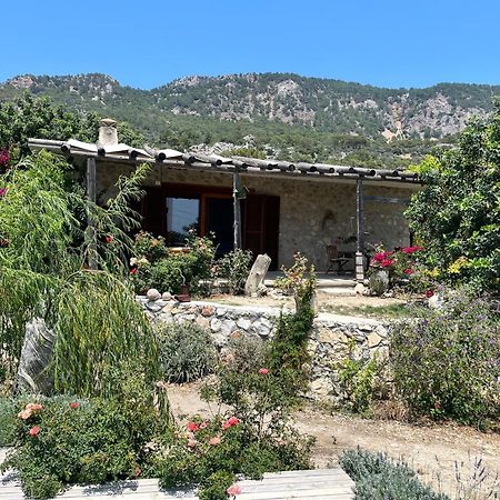 Beso Patara Ξενοδοχείο Εξωτερικό φωτογραφία