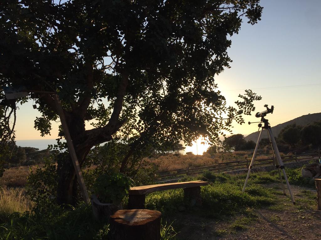 Beso Patara Ξενοδοχείο Εξωτερικό φωτογραφία