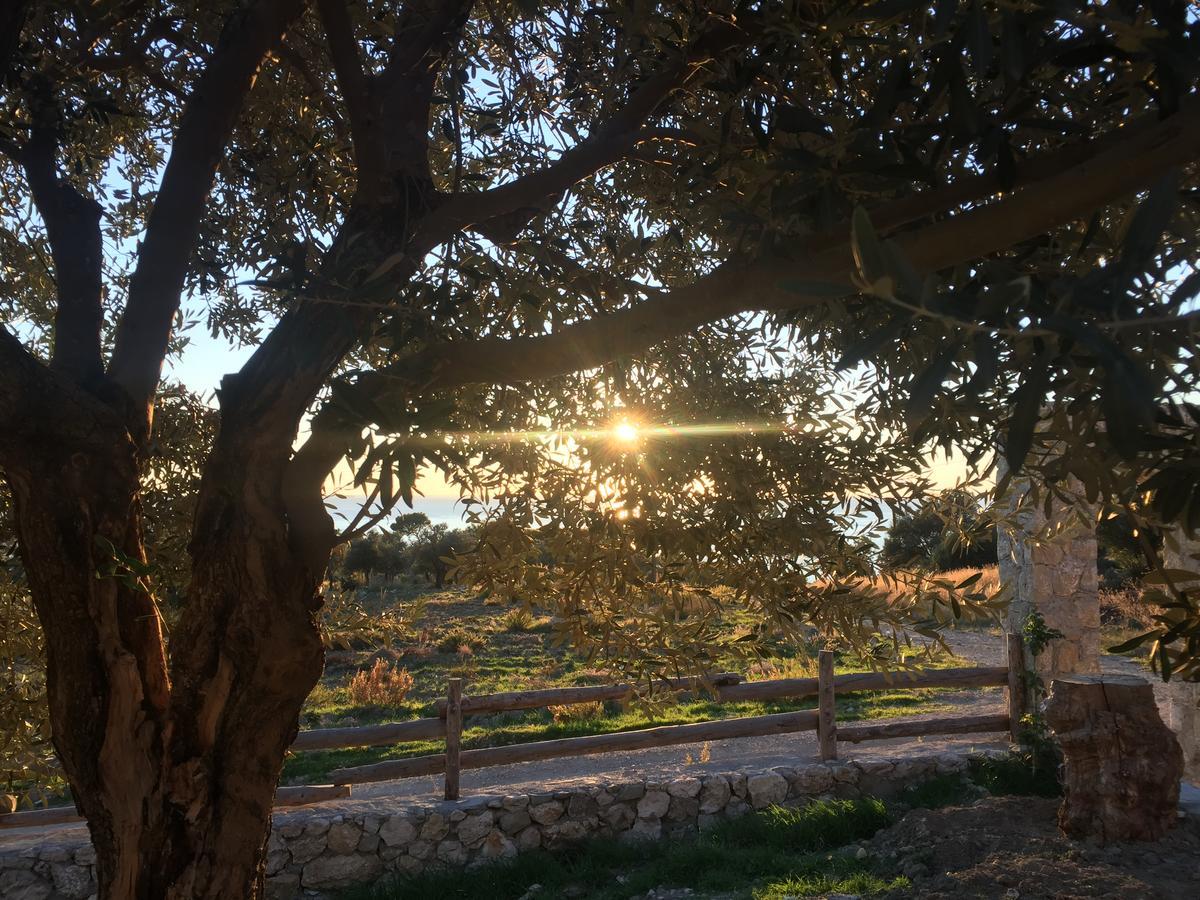 Beso Patara Ξενοδοχείο Εξωτερικό φωτογραφία
