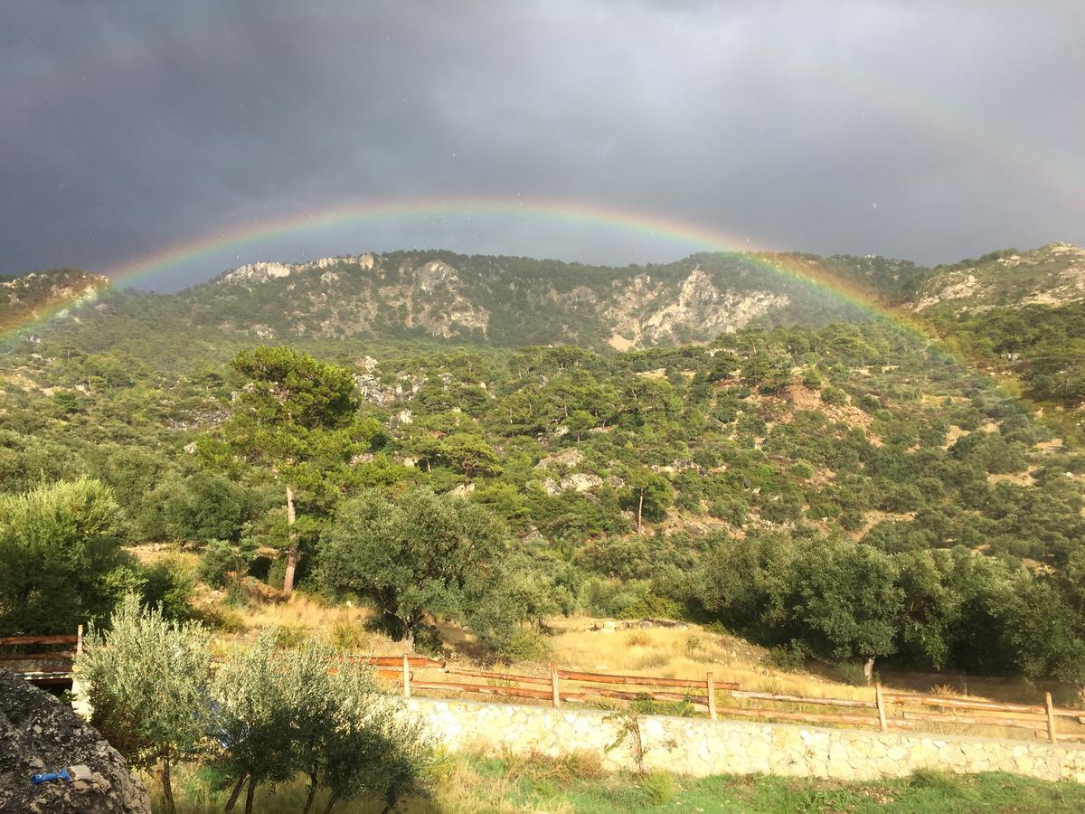 Beso Patara Ξενοδοχείο Εξωτερικό φωτογραφία
