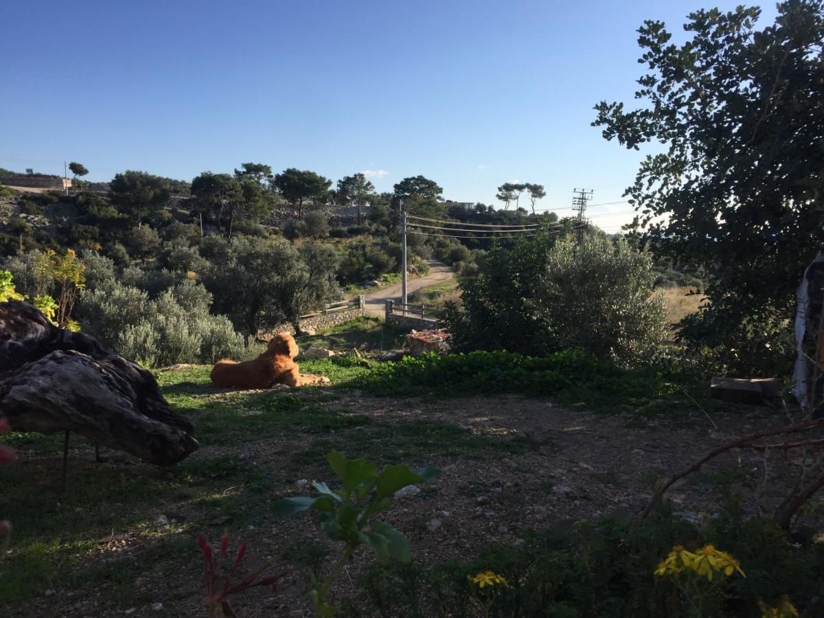 Beso Patara Ξενοδοχείο Εξωτερικό φωτογραφία